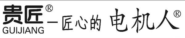 電機人